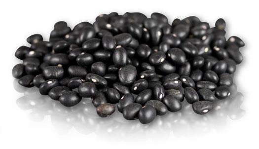 Black Turtle Beans 10LB