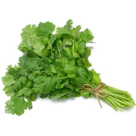 Coriander Leaves (Pack of 3)