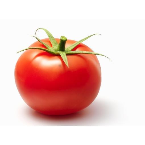 Hot House Tomato 5lb